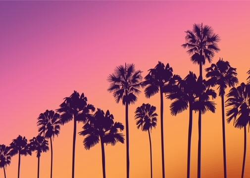 Los Angeles Palmen